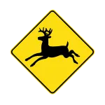 Car Icon